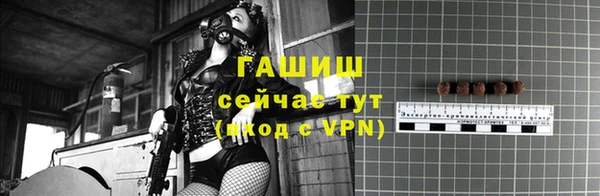 ешки Бородино
