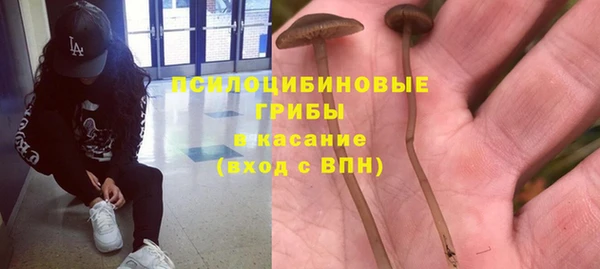 ешки Бородино