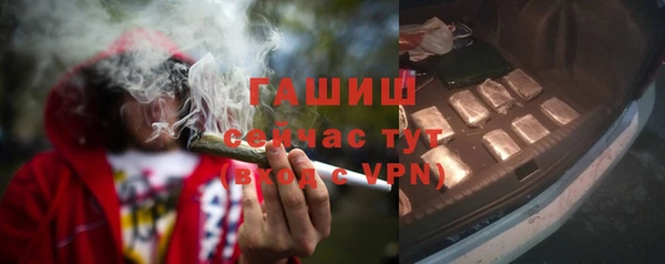 ешки Бородино