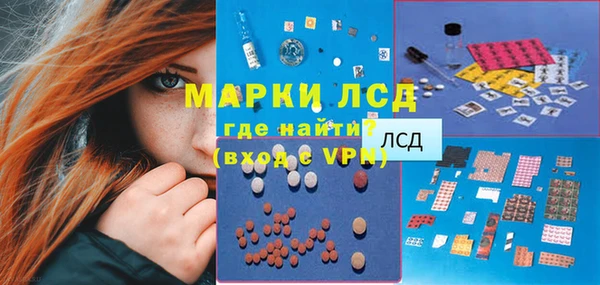ешки Бородино